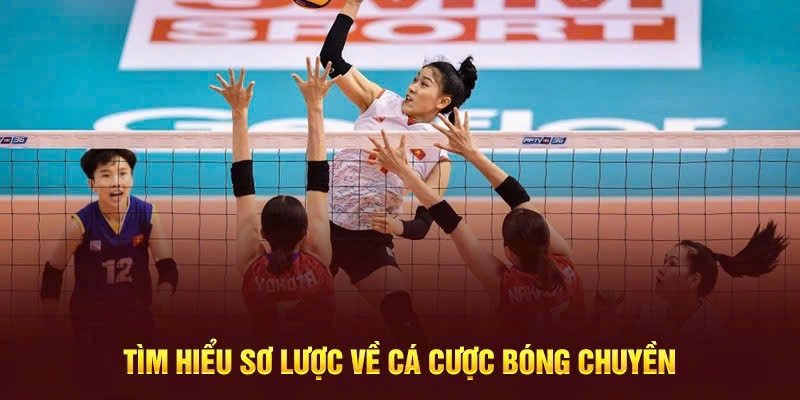 Bóng Chuyền - Bộ Môn Cá Cược Thể thao Phổ Biến 2024