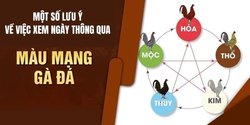 Lưu ý vì sao nên xem ngày đá gà theo màu mạng