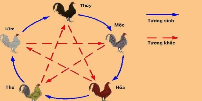 Tìm hiểu thông tin về màu mạng gà đá khi xem ngày đá gà