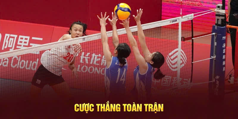 Hướng dẫn cá cược bóng chuyền chính xác nhất