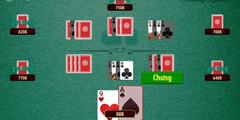 Trò chơi Catte online nổi tiếng