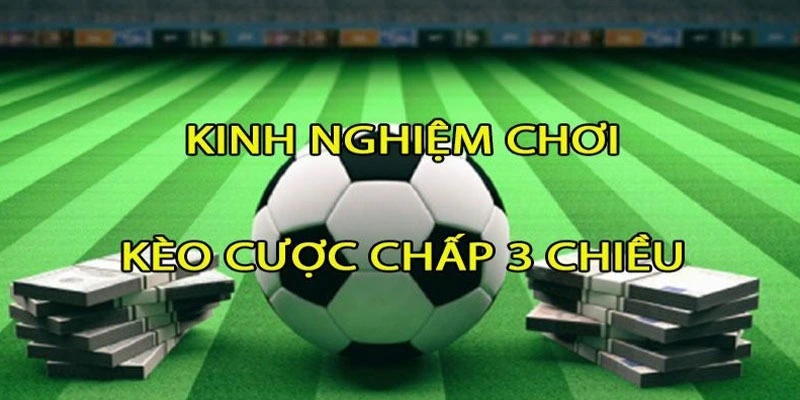 Mẹo đánh kèo 3 cửa chắc thắng của chuyên gia cá độ lâu năm