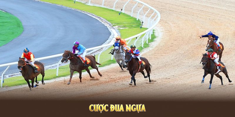 Cược Đua Ngựa Và Những Kinh Nghiệm Vàng Để Thắng Lớn