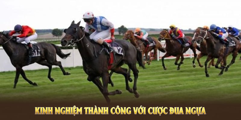 Kinh nghiệm thành công với cược đua ngựa mới nhất