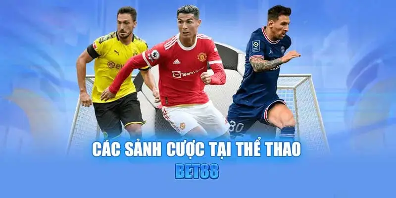 Những kèo cá cược thể thao 24h mà bạn nên biết