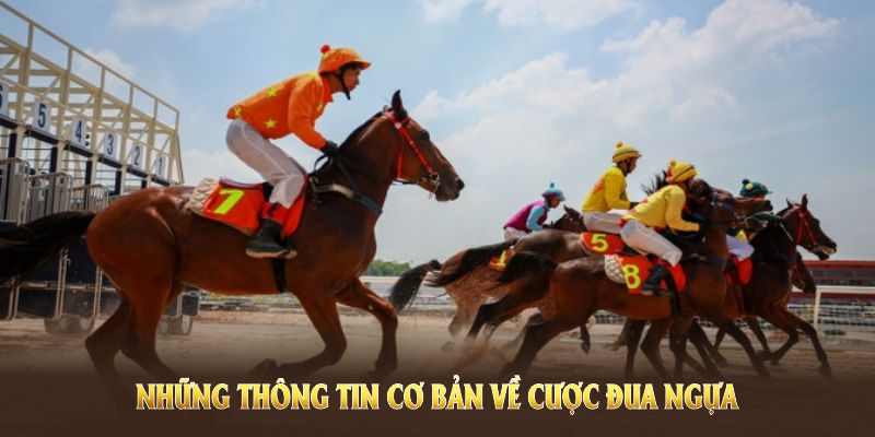 Những thông tin cơ bản về cược đua ngựa tại nhà cái uy tín Bet88