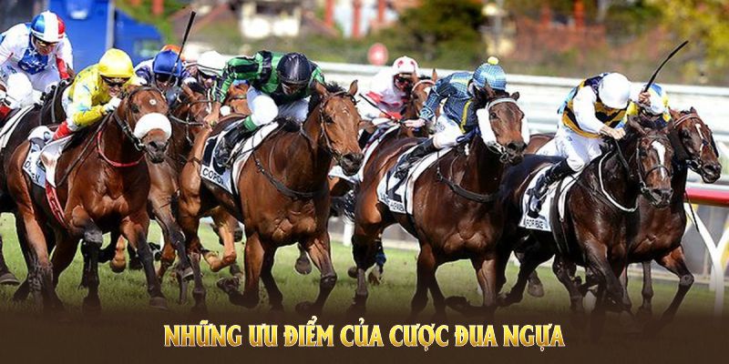 Những ưu điểm của cược đua ngựa tại sảnh BET88